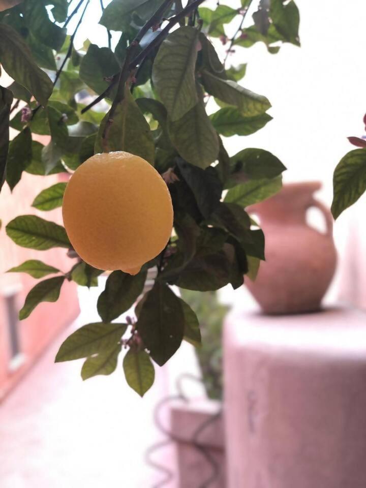 A Casa Dei Sasso Villa Positano Bagian luar foto
