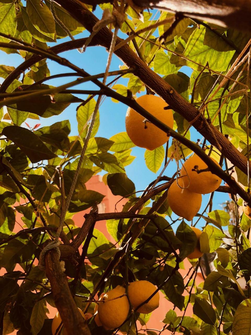 A Casa Dei Sasso Villa Positano Bagian luar foto